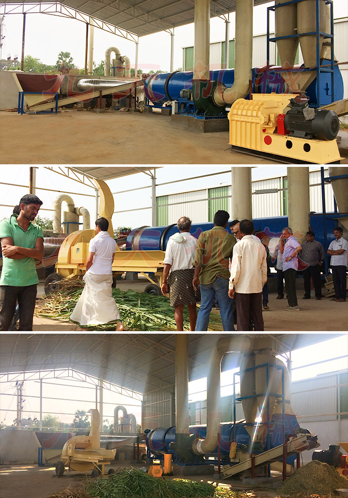 牧草烘干機(jī)印度現(xiàn)場圖