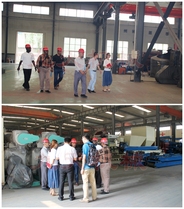 海外客戶考察牧草烘干設(shè)備和餐廚垃圾處理設(shè)備